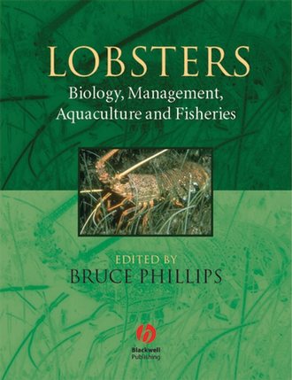 Bruce  Phillips. Lobsters