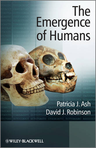 David Robinson J.. The Emergence of Humans