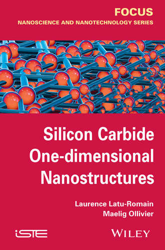 Laurence  Latu-Romain. Silicon Carbide One-dimensional Nanostructures