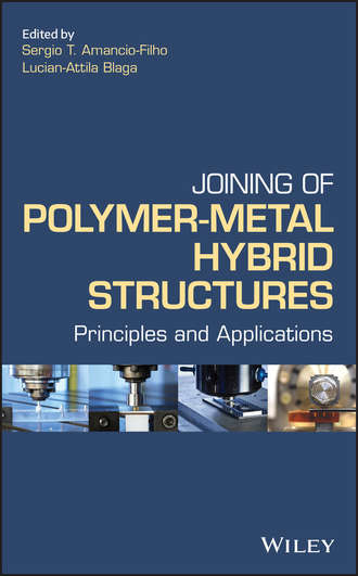 Lucian-Attila  Blaga. Joining of Polymer-Metal Hybrid Structures