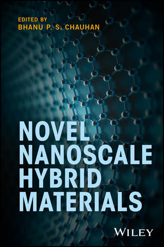 Bhanu P. S. Chauhan. Novel Nanoscale Hybrid Materials