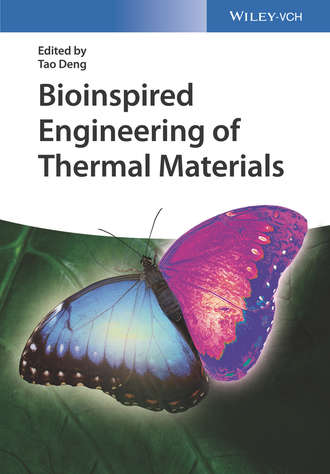 Tao  Deng. Bioinspired Engineering of Thermal Materials