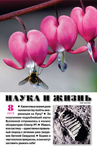Наука и жизнь №08/2019. Группа авторов