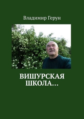 Вишурская школа…. 