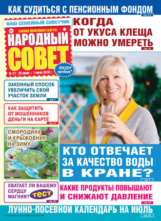 Народный совет №27/2019. Группа авторов