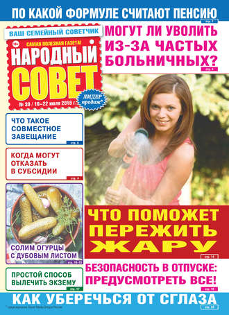 Народный совет №30/2019. Группа авторов