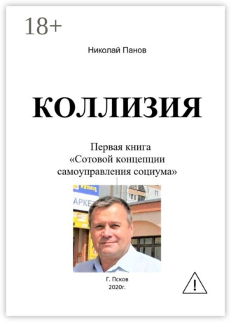 Коллизия. Первая книга «Сотовой концепции самоуправления социума». Николай Анатольевич Панов