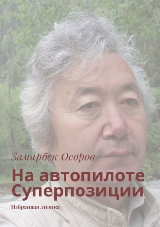 На автопилоте Суперпозиции. Избранная лирика. 