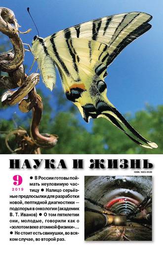Группа авторов. Наука и жизнь №09/2019