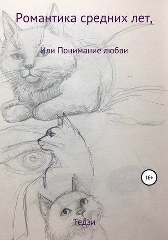 Романтика средних лет, или Понимание любви. Тедзи