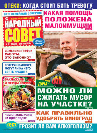 Народный совет №32/2019. Группа авторов