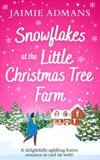 Jaimie  Admans. Snowflakes at the Little Christmas Tree Farm