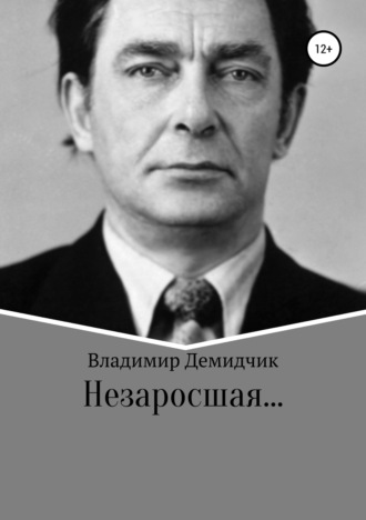 Незаросшая…. Владимир Демидчик