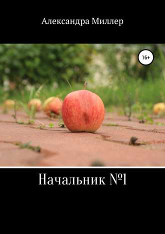 Александра Миллер. Начальник №1