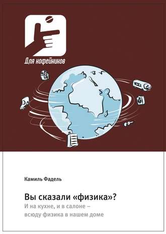 Камиль Фадель. Вы сказали «физика»? И на кухне, и в салоне – всюду физика в нашем доме