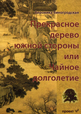 Прекрасное дерево южной стороны, или Чайное долголетие. Вероника Виногродская