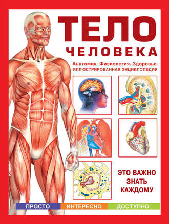 Группа авторов. Тело человека. Анатомия. Физиология. Здоровье