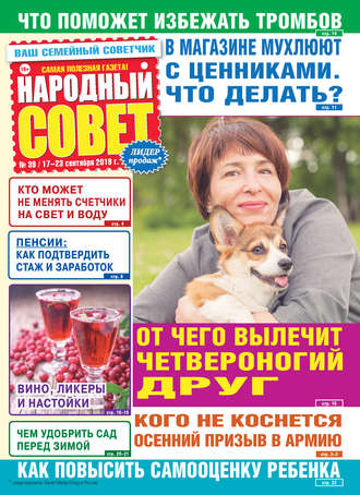 Народный совет №39/2019. Группа авторов