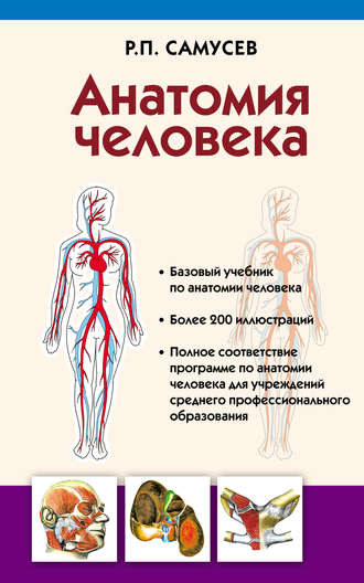 Р. П. Самусев. Анатомия человека