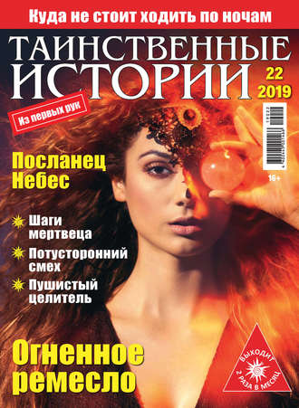 Группа авторов. Таинственные истории №22/2019