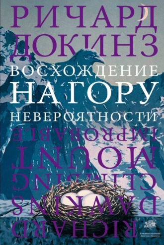 Восхождение на гору Невероятности. 