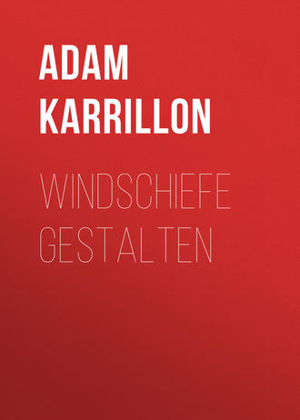 Adam Karrillon. Windschiefe Gestalten
