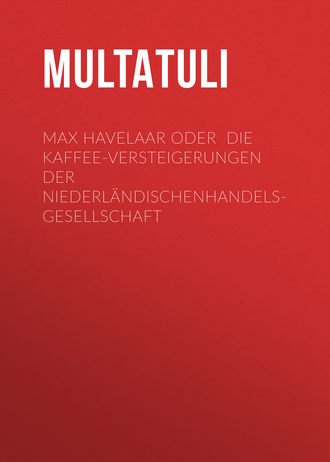 Multatuli. Max Havelaar oder  Die Kaffee-Versteigerungen der NiederländischenHandels-Gesellschaft
