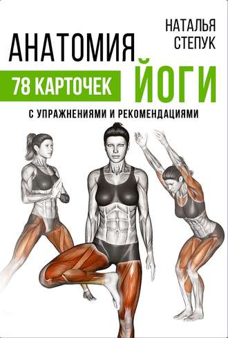 Н. Г. Степук. Анатомия йоги. 78 карточек с упражнениями и рекомендациями