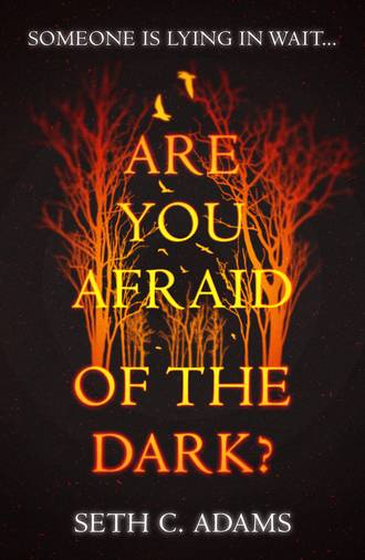 Seth Adams C.. Are You Afraid of the Dark?