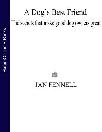 Jan Fennell. A Dog’s Best Friend: The Secrets that Make Good Dog Owners Great
