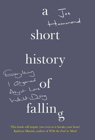 Joe  Hammond. A Short History of Falling: Everything I Observed About Love Whilst Dying