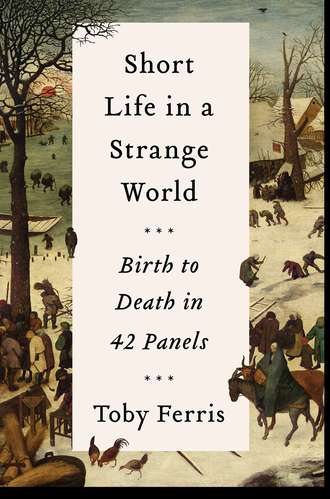 Toby Ferris. Short Life in a Strange World: Birth to Death in 42 Panels