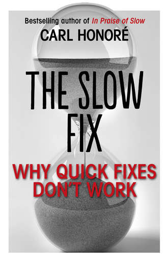 Carl Honore. The Slow Fix: Why Quick Fixes Don’t Work (extract)