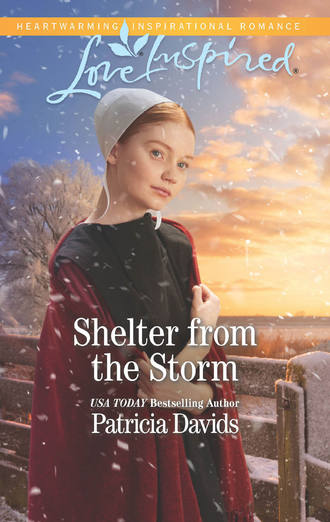 Patricia  Davids. Shelter From The Storm