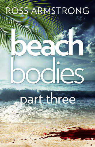 Ross  Armstrong. Beach Bodies: Part Three