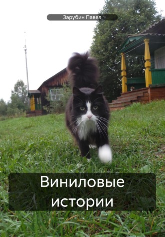 Павел Николаевич Зарубин. Виниловые истории