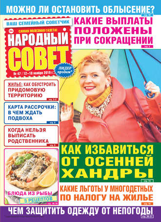 Группа авторов. Народный совет №47/2019