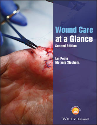 Ian  Peate. Wound Care at a Glance