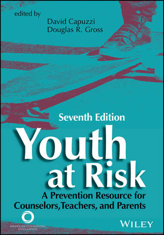 Группа авторов. Youth at Risk