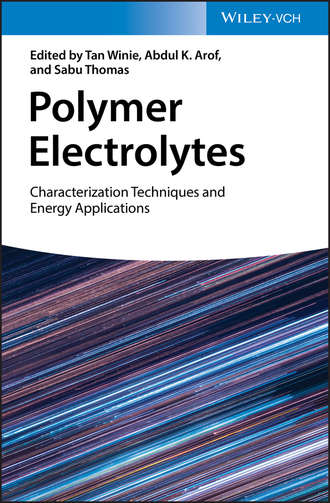 Группа авторов. Polymer Electrolytes