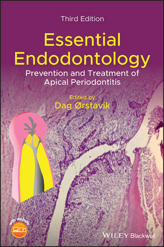 Группа авторов. Essential Endodontology