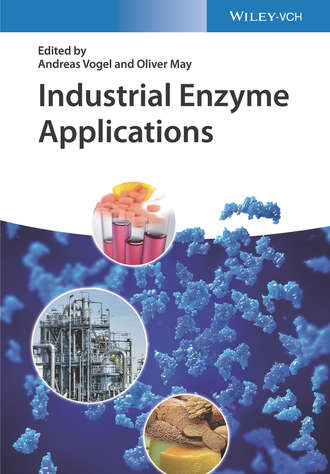 Группа авторов. Industrial Enzyme Applications