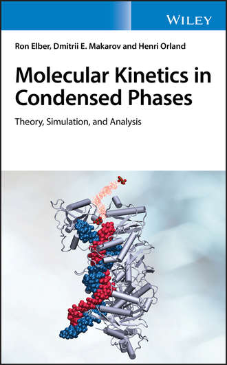 Dmitrii E. Makarov. Molecular Kinetics in Condensed Phases