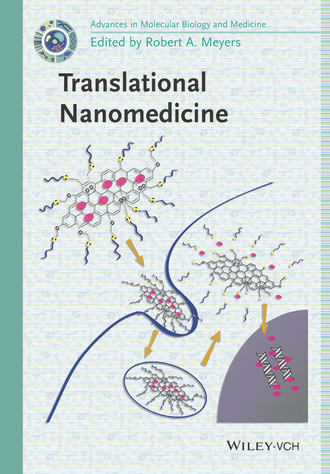 Translational Nanomedicine. Группа авторов