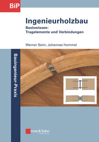 Werner Seim. Ingenieurholzbau - Basiswissen