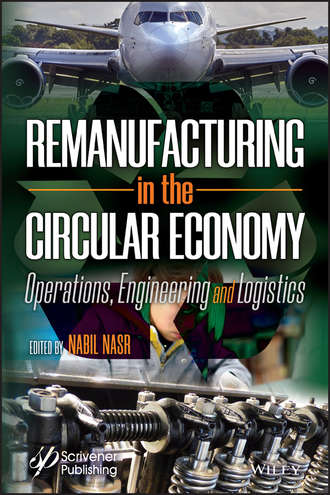Группа авторов. Remanufacturing in the Circular Economy