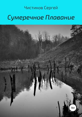 Сумеречное плавание. Сергей Фёдорович Чистиков