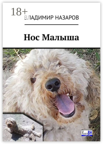 Нос Малыша. 