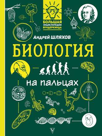 Андрей Шляхов. Биология на пальцах в иллюстрациях