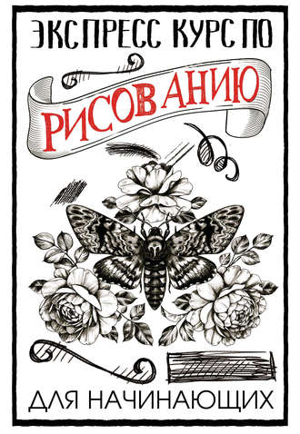 Экспресс-курс по рисованию для начинающих. 